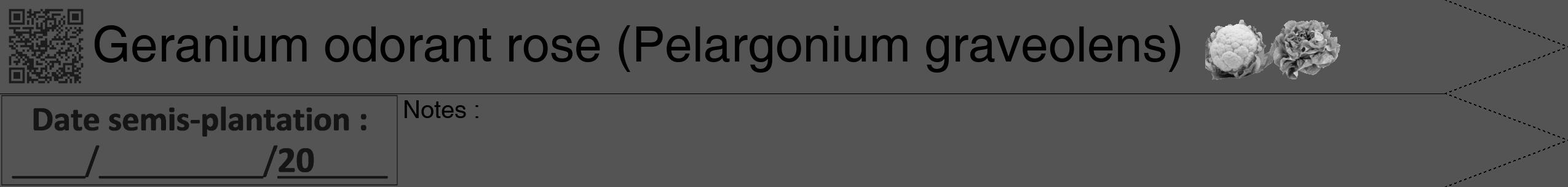 Étiquette de : Pelargonium graveolens - format b - style noire30hel avec qrcode et comestibilité simplifiée