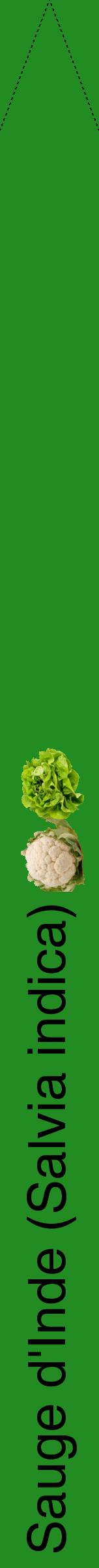 Étiquette de : Salvia indica - format b - style noire10hel avec comestibilité simplifiée