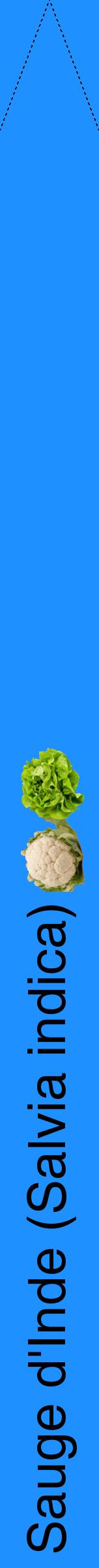 Étiquette de : Salvia indica - format b - style noire3hel avec comestibilité simplifiée