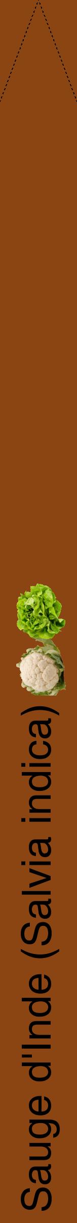 Étiquette de : Salvia indica - format b - style noire30hel avec comestibilité simplifiée