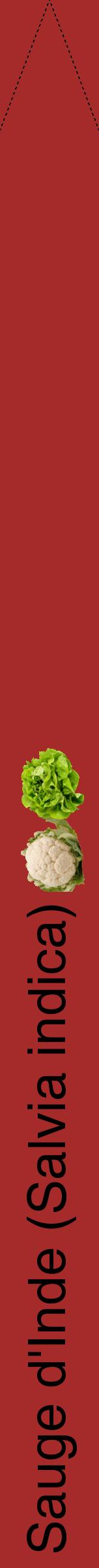 Étiquette de : Salvia indica - format b - style noire33hel avec comestibilité simplifiée