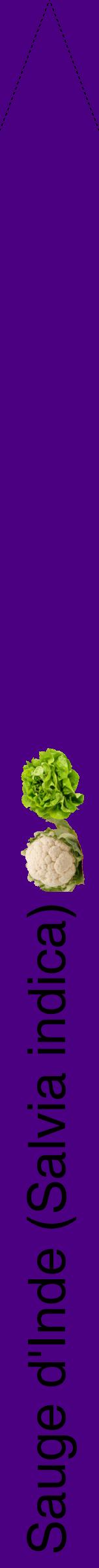 Étiquette de : Salvia indica - format b - style noire47hel avec comestibilité simplifiée