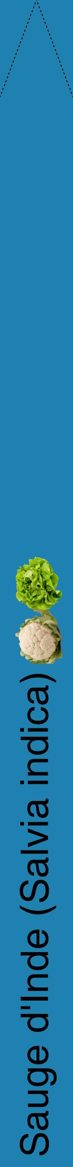 Étiquette de : Salvia indica - format b - style noire6hel avec comestibilité simplifiée