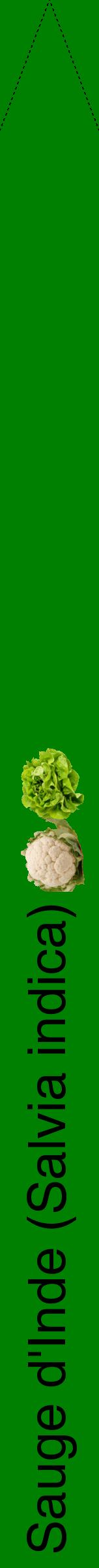 Étiquette de : Salvia indica - format b - style noire9hel avec comestibilité simplifiée