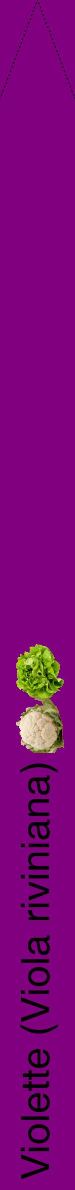 Étiquette de : Viola riviniana - format b - style noire46hel avec comestibilité simplifiée
