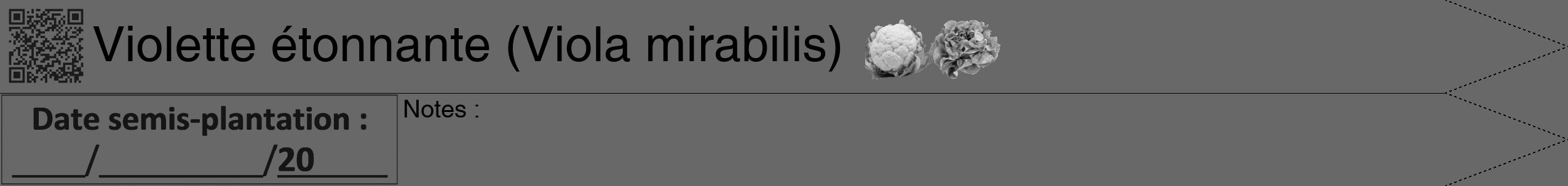 Étiquette de : Viola mirabilis - format b - style noire6hel avec qrcode et comestibilité simplifiée