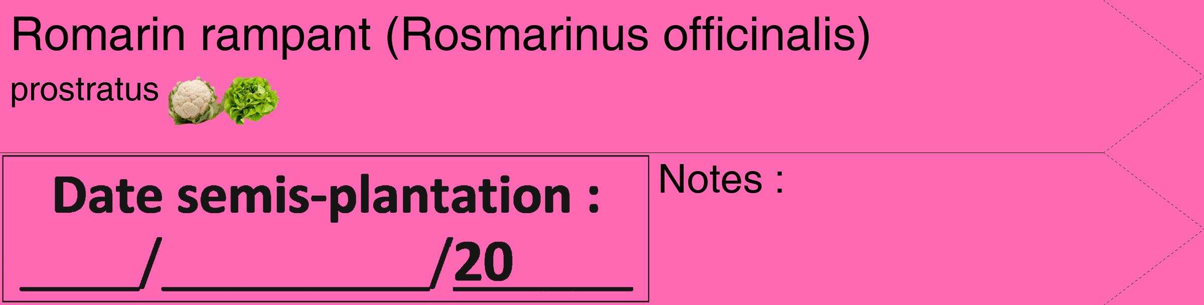 Étiquette de : Rosmarinus officinalis prostratus - format c - style noire42simple_simple_simplehel avec comestibilité simplifiée