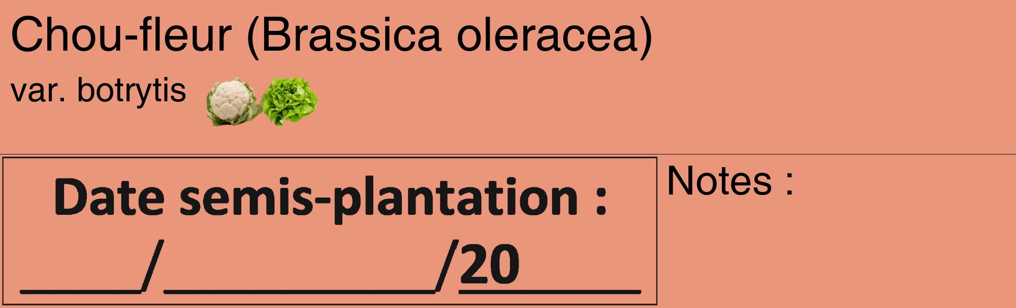 Étiquette de : Brassica oleracea var. botrytis - format c - style noire37_basique_basiquehel avec comestibilité simplifiée