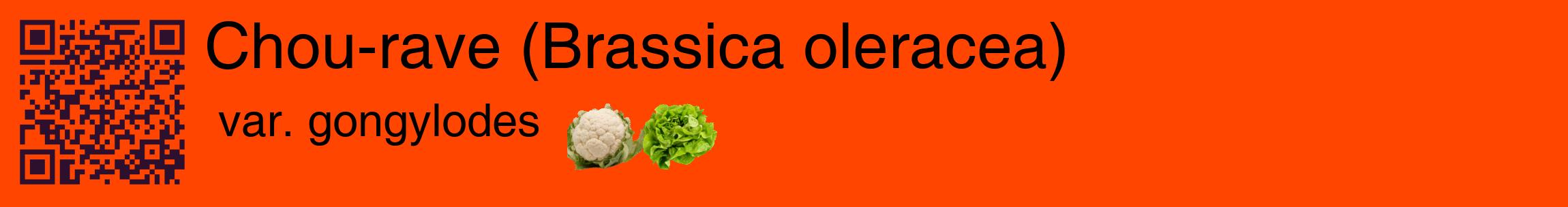 Étiquette de : Brassica oleracea var. gongylodes - format c - style noire26basique_basique_basiquehel avec qrcode et comestibilité simplifiée