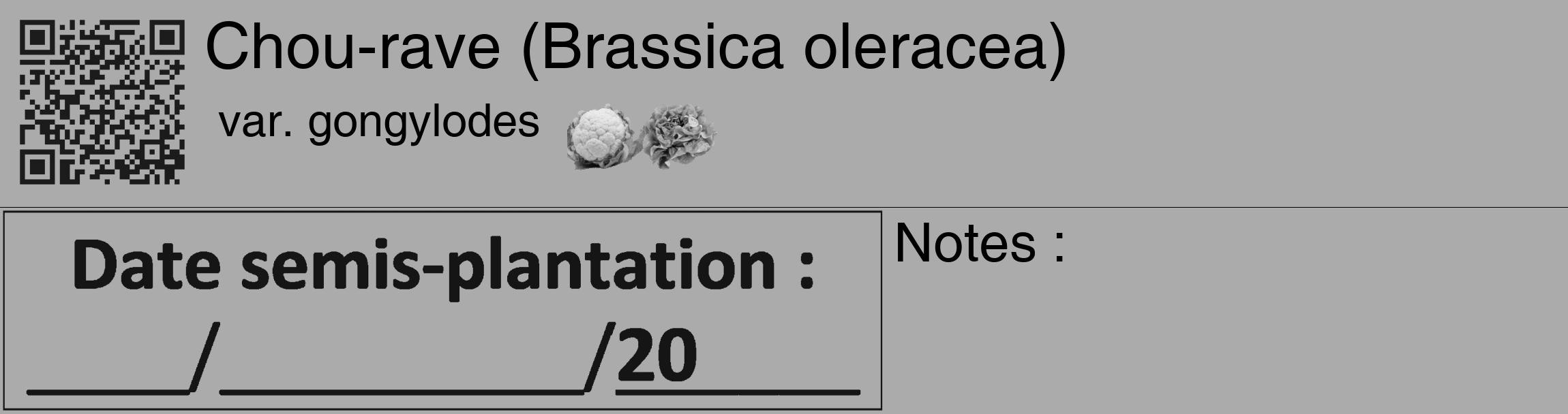 Étiquette de : Brassica oleracea var. gongylodes - format c - style noire37_basique_basiquehel avec qrcode et comestibilité simplifiée