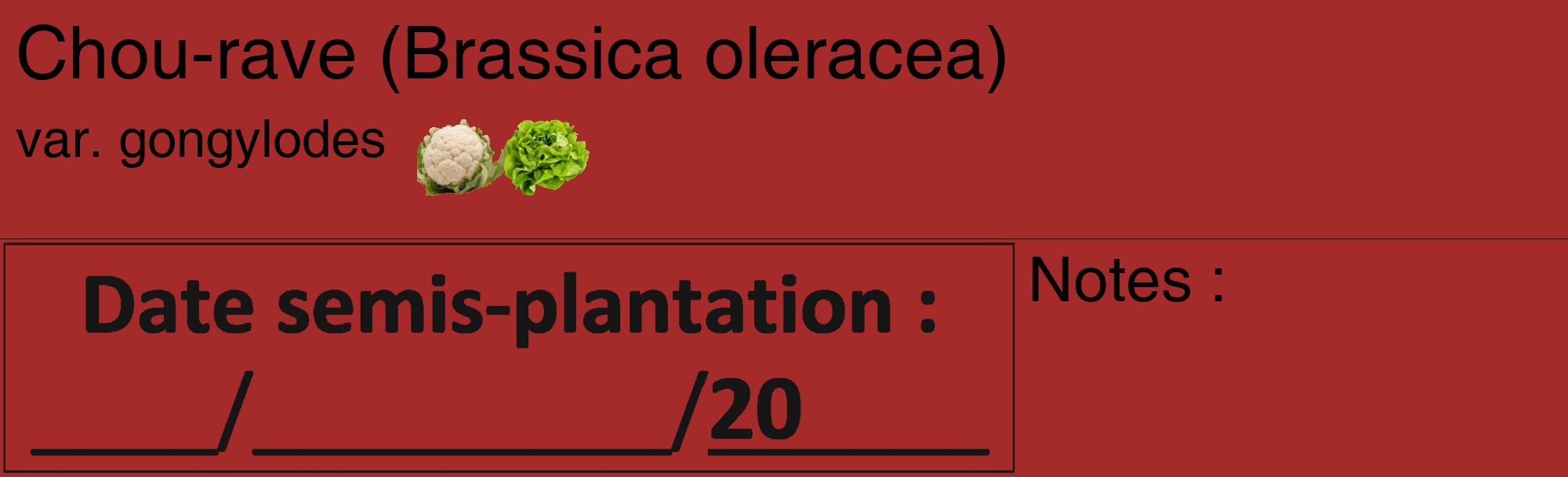 Étiquette de : Brassica oleracea var. gongylodes - format c - style noire33_basique_basiquehel avec comestibilité simplifiée