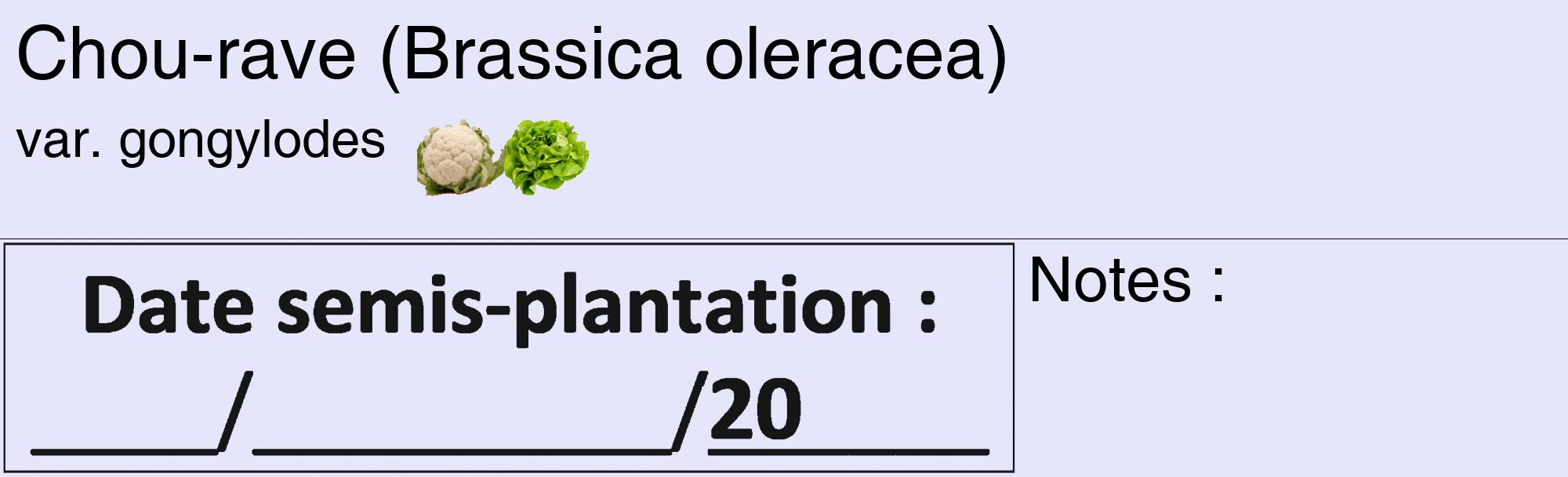Étiquette de : Brassica oleracea var. gongylodes - format c - style noire55_basique_basiquehel avec comestibilité simplifiée