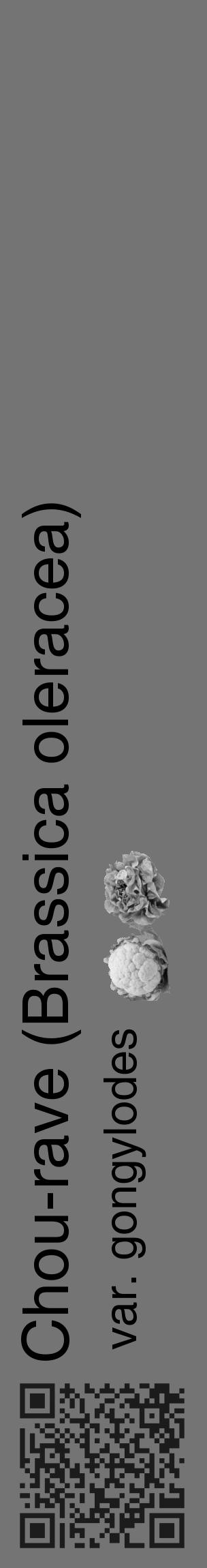 Étiquette de : Brassica oleracea var. gongylodes - format c - style noire26basique_basique_basiquehel avec qrcode et comestibilité simplifiée - position verticale
