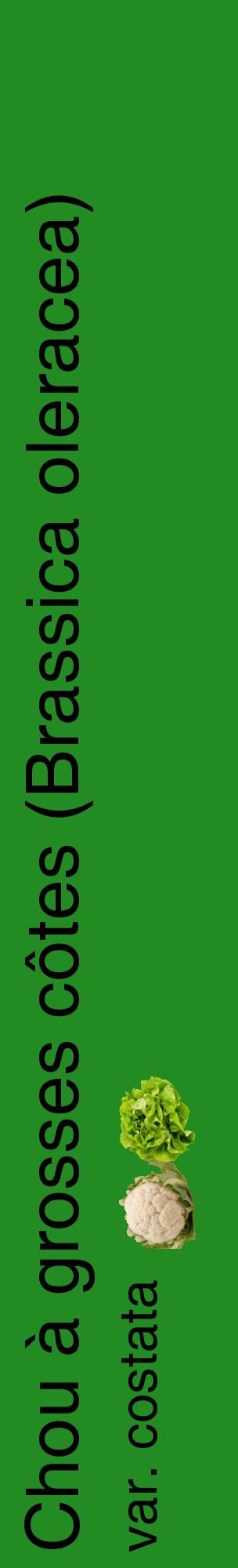 Étiquette de : Brassica oleracea var. costata - format c - style noire10_basiquehel avec comestibilité simplifiée