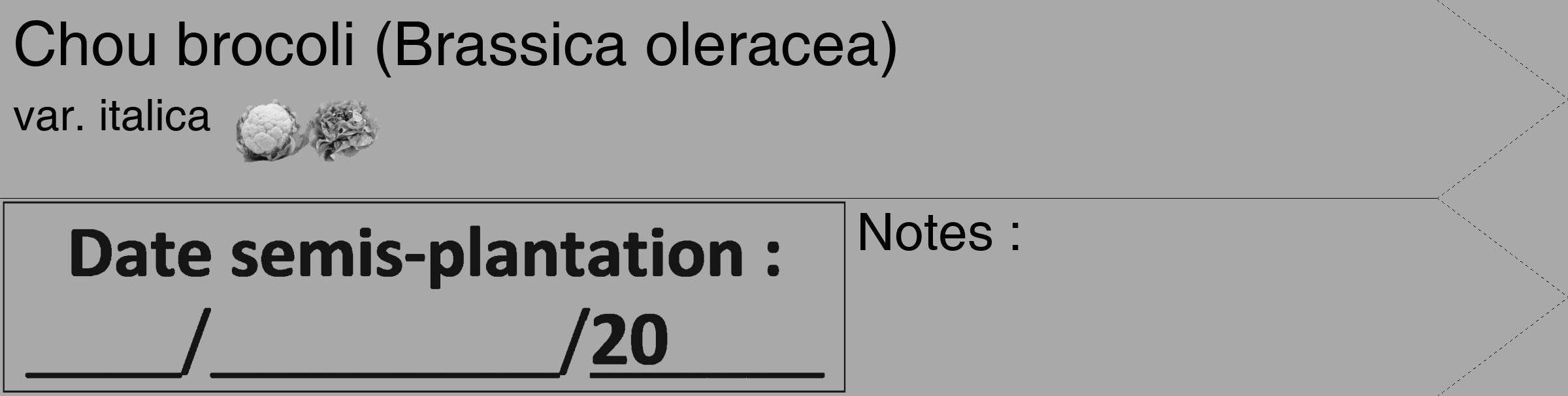 Étiquette de : Brassica oleracea var. italica - format c - style noire13_simple_simplehel avec comestibilité simplifiée