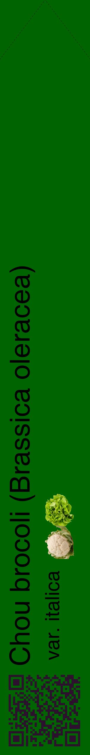 Étiquette de : Brassica oleracea var. italica - format c - style noire8_simplehel avec qrcode et comestibilité simplifiée