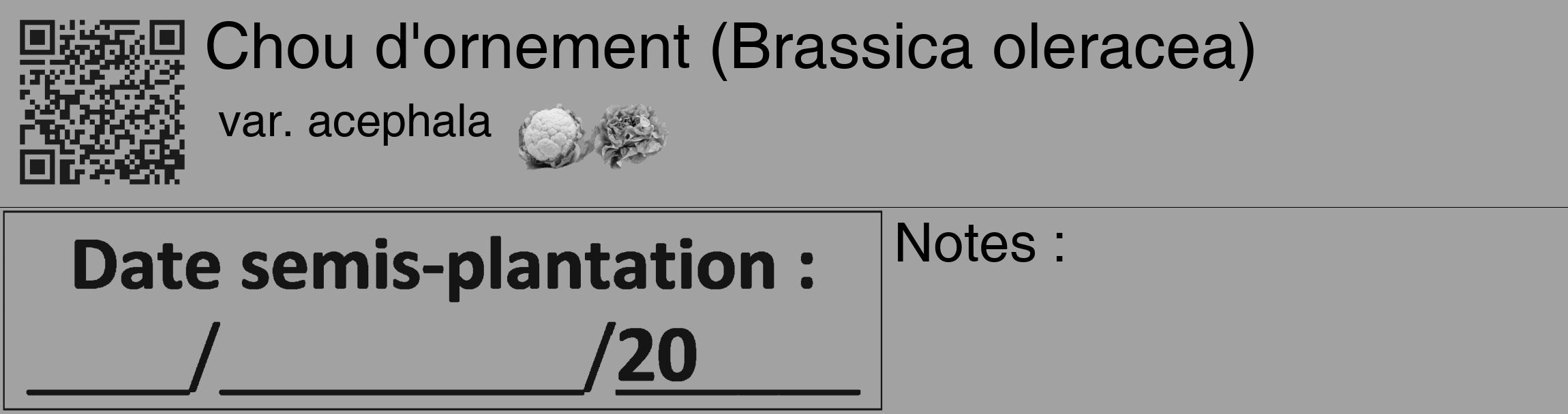 Étiquette de : Brassica oleracea var. acephala - format c - style noire38_basique_basiquehel avec qrcode et comestibilité simplifiée