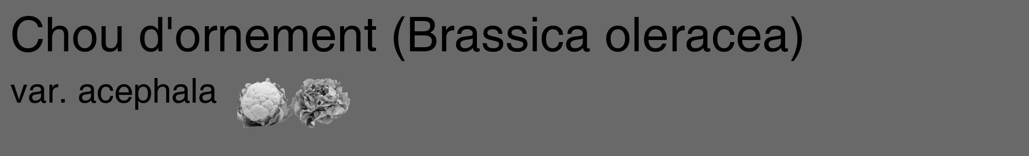 Étiquette de : Brassica oleracea var. acephala - format c - style noire11_basique_basiquehel avec comestibilité simplifiée