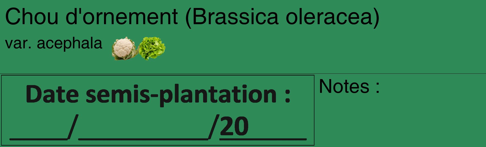 Étiquette de : Brassica oleracea var. acephala - format c - style noire11_basique_basiquehel avec comestibilité simplifiée