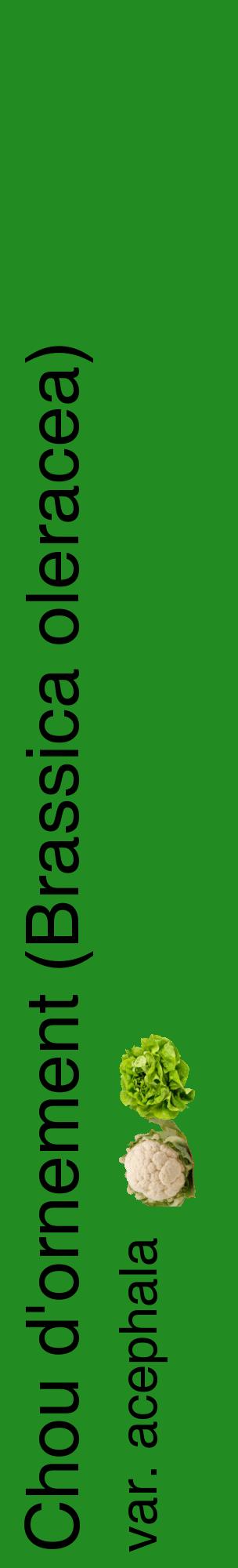 Étiquette de : Brassica oleracea var. acephala - format c - style noire10_basiquehel avec comestibilité simplifiée