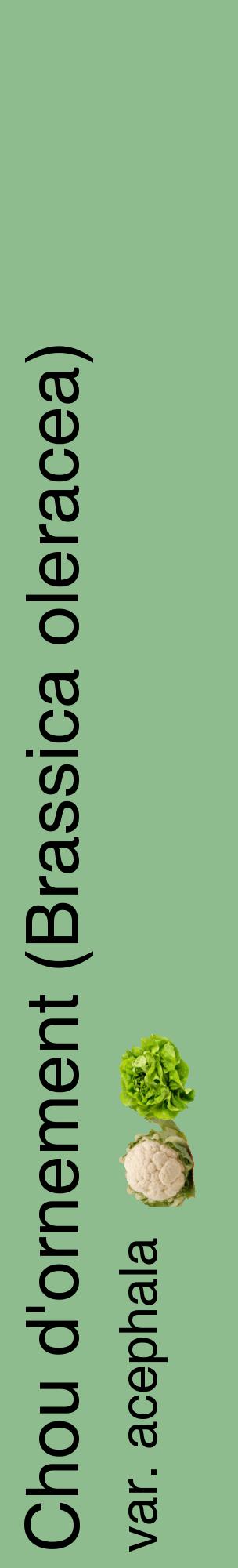 Étiquette de : Brassica oleracea var. acephala - format c - style noire13_basiquehel avec comestibilité simplifiée