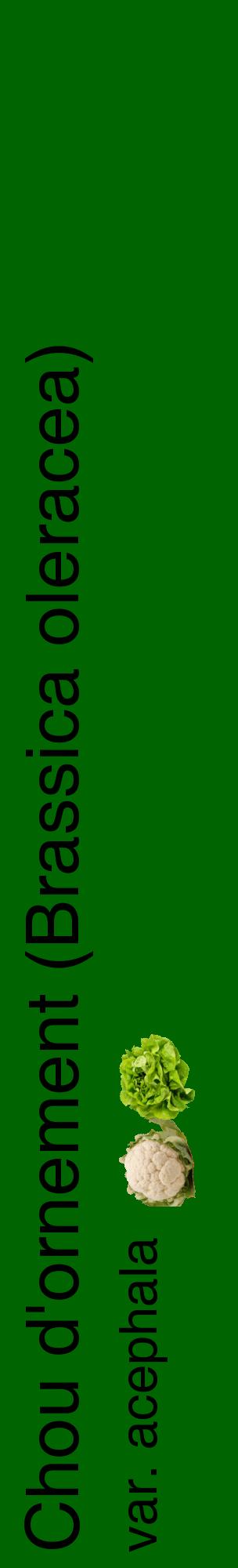 Étiquette de : Brassica oleracea var. acephala - format c - style noire8_basiquehel avec comestibilité simplifiée