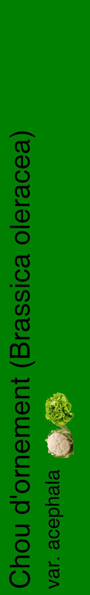 Étiquette de : Brassica oleracea var. acephala - format c - style noire9_basiquehel avec comestibilité simplifiée