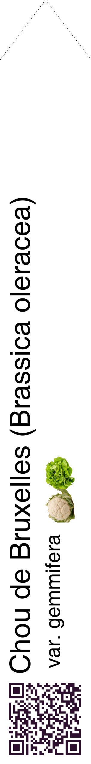 Étiquette de : Brassica oleracea var. gemmifera - format c - style noire60_simplehel avec qrcode et comestibilité simplifiée