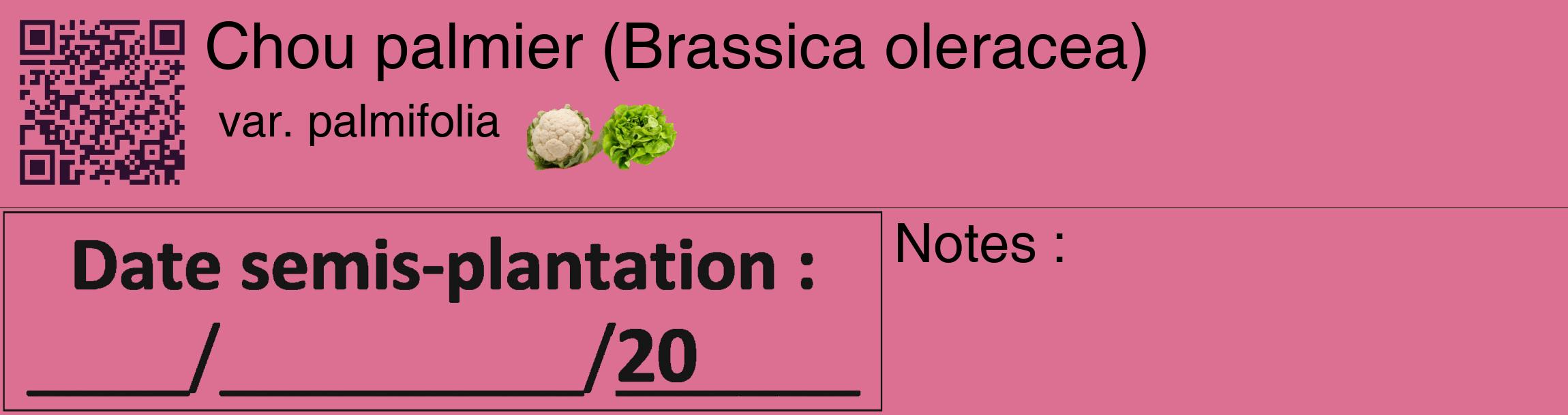 Étiquette de : Brassica oleracea var. palmifolia - format c - style noire44_basique_basiquehel avec qrcode et comestibilité simplifiée