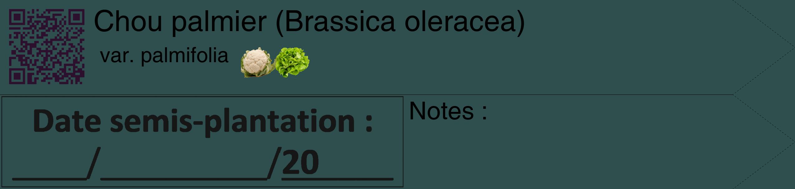 Étiquette de : Brassica oleracea var. palmifolia - format c - style noire58_simple_simplehel avec qrcode et comestibilité simplifiée