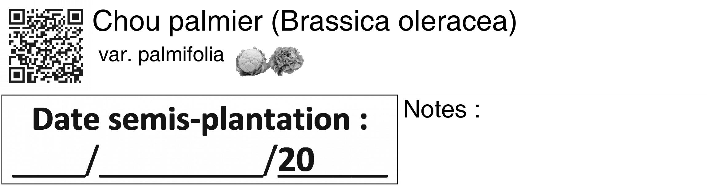 Étiquette de : Brassica oleracea var. palmifolia - format c - style noire60_basiquegrrvhel avec qrcode et comestibilité simplifiée