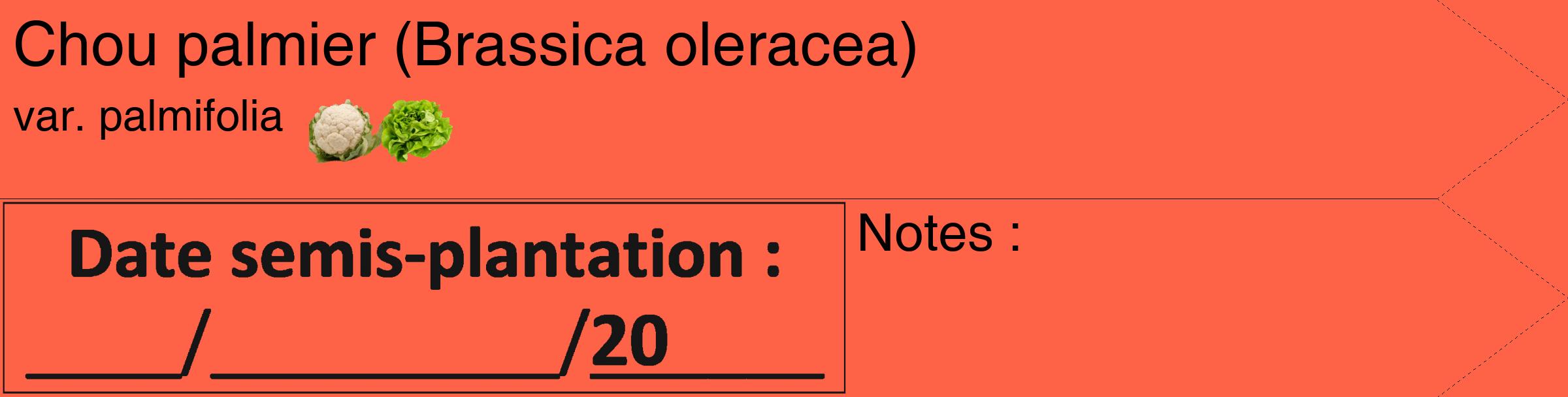 Étiquette de : Brassica oleracea var. palmifolia - format c - style noire25_simple_simplehel avec comestibilité simplifiée