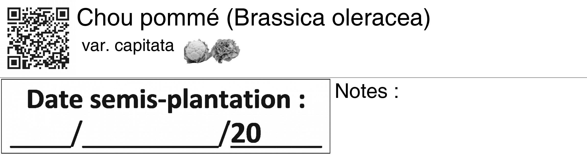 Étiquette de : Brassica oleracea var. capitata - format c - style noire60_basiquegrrvhel avec qrcode et comestibilité simplifiée