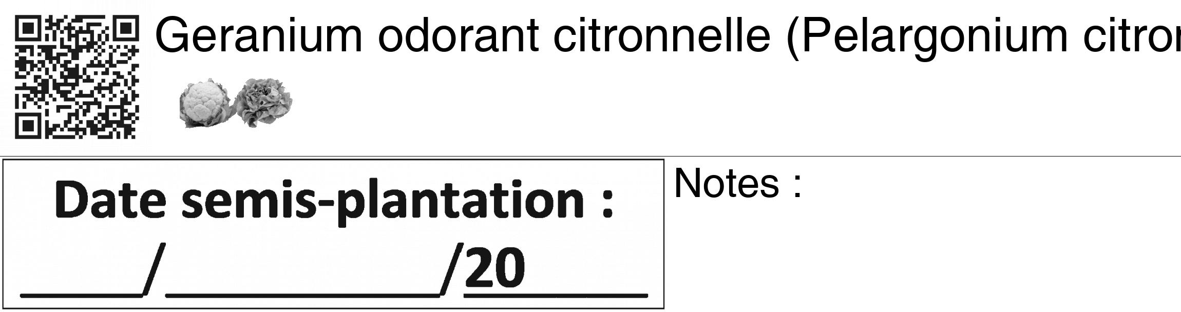 Étiquette de : Pelargonium citronnellum - format c - style noire60_basiquegrrvhel avec qrcode et comestibilité simplifiée