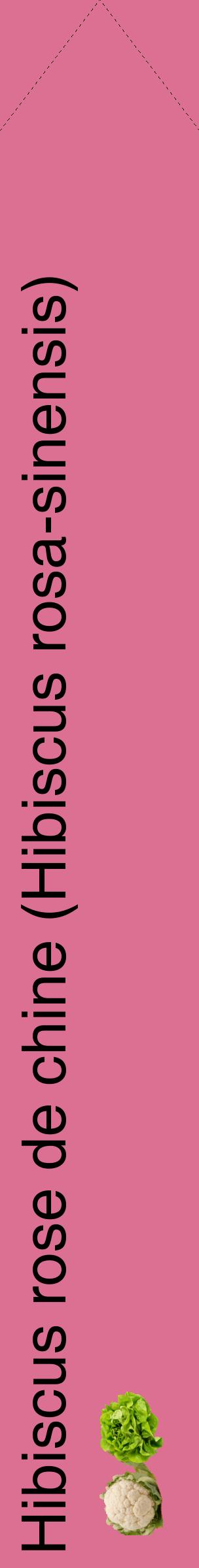 Étiquette de : Hibiscus rosa-sinensis - format c - style noire44_simplehel avec comestibilité simplifiée