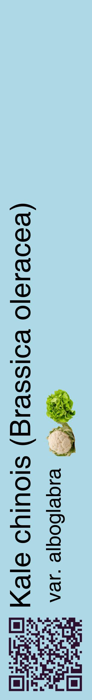 Étiquette de : Brassica oleracea var. alboglabra - format c - style noire0_basiquehel avec qrcode et comestibilité simplifiée