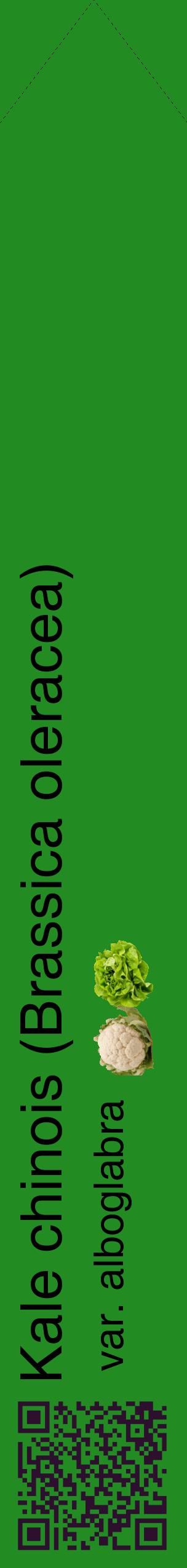 Étiquette de : Brassica oleracea var. alboglabra - format c - style noire10_simplehel avec qrcode et comestibilité simplifiée