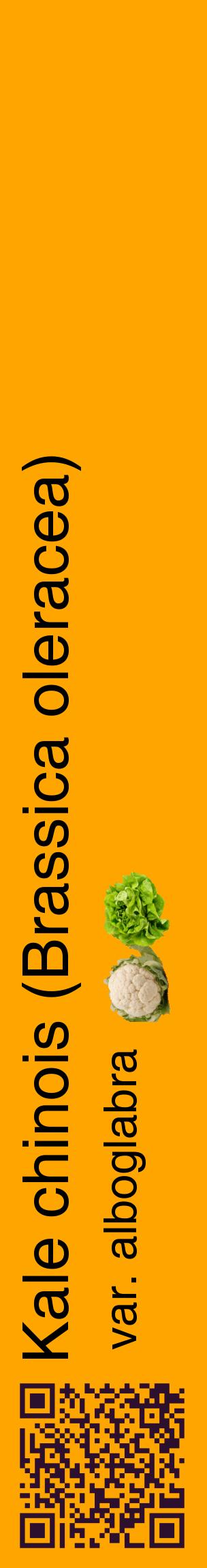 Étiquette de : Brassica oleracea var. alboglabra - format c - style noire22_basiquehel avec qrcode et comestibilité simplifiée