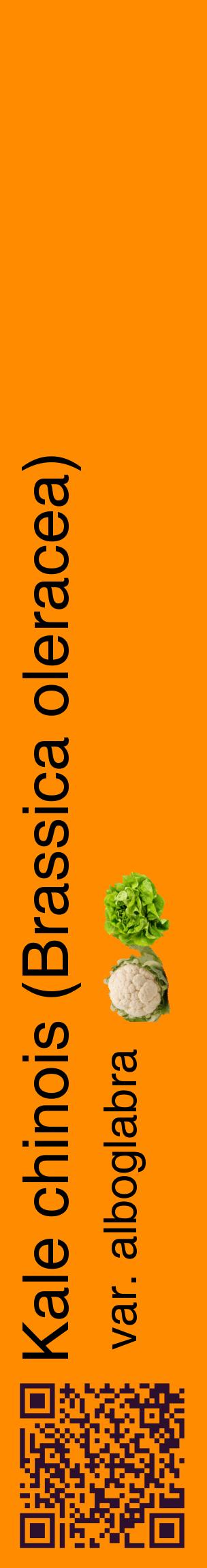 Étiquette de : Brassica oleracea var. alboglabra - format c - style noire23_basiquehel avec qrcode et comestibilité simplifiée