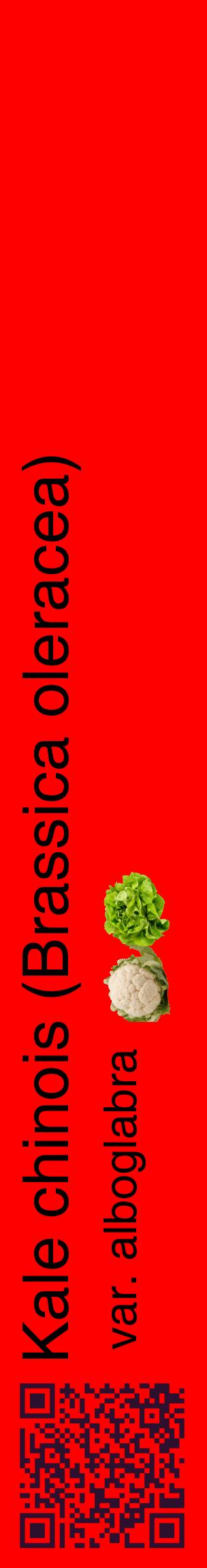 Étiquette de : Brassica oleracea var. alboglabra - format c - style noire27_basiquehel avec qrcode et comestibilité simplifiée