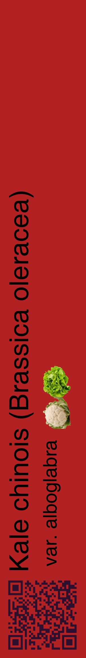 Étiquette de : Brassica oleracea var. alboglabra - format c - style noire28_basiquehel avec qrcode et comestibilité simplifiée