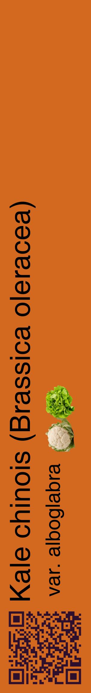 Étiquette de : Brassica oleracea var. alboglabra - format c - style noire31_basiquehel avec qrcode et comestibilité simplifiée