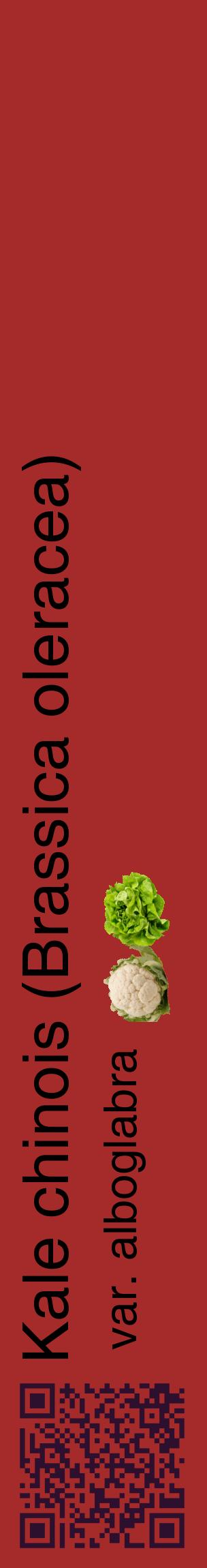 Étiquette de : Brassica oleracea var. alboglabra - format c - style noire33_basiquehel avec qrcode et comestibilité simplifiée