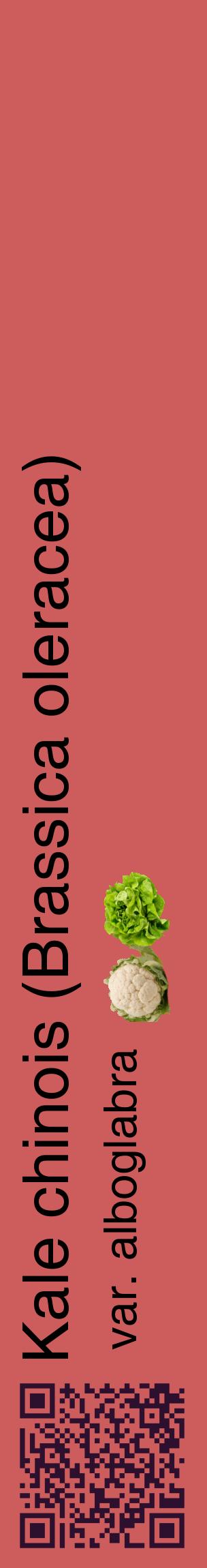 Étiquette de : Brassica oleracea var. alboglabra - format c - style noire35_basiquehel avec qrcode et comestibilité simplifiée