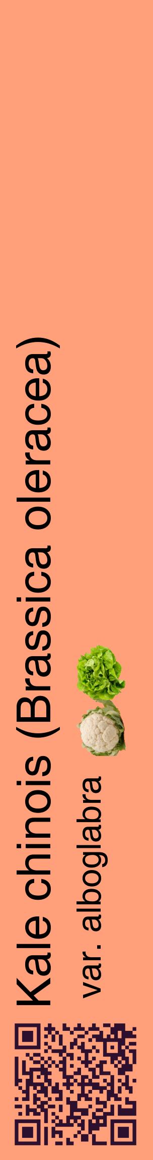Étiquette de : Brassica oleracea var. alboglabra - format c - style noire39_basiquehel avec qrcode et comestibilité simplifiée
