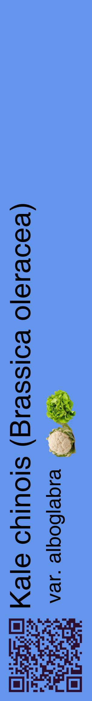 Étiquette de : Brassica oleracea var. alboglabra - format c - style noire4_basiquehel avec qrcode et comestibilité simplifiée