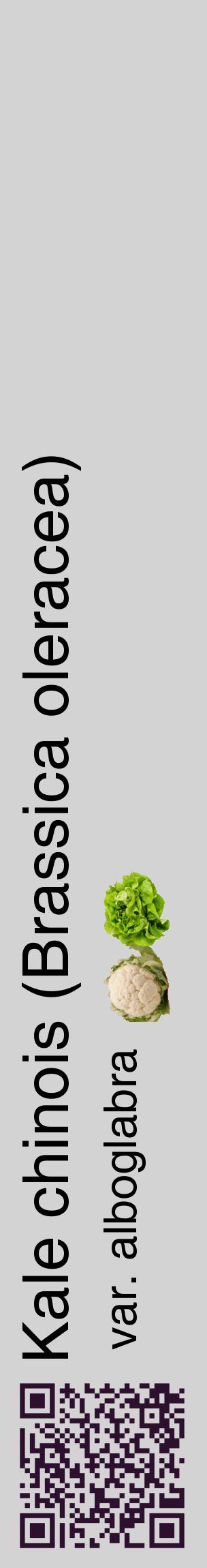 Étiquette de : Brassica oleracea var. alboglabra - format c - style noire56_basiquehel avec qrcode et comestibilité simplifiée