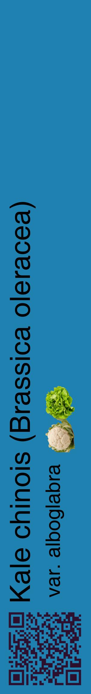 Étiquette de : Brassica oleracea var. alboglabra - format c - style noire6_basiquehel avec qrcode et comestibilité simplifiée
