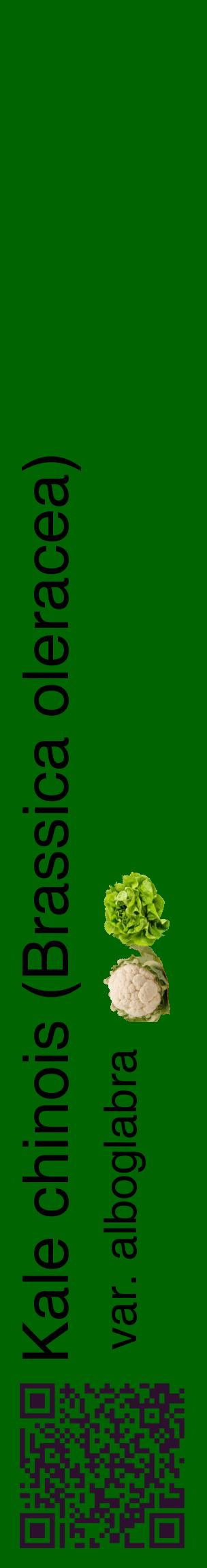 Étiquette de : Brassica oleracea var. alboglabra - format c - style noire8_basiquehel avec qrcode et comestibilité simplifiée