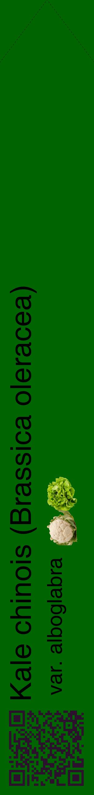 Étiquette de : Brassica oleracea var. alboglabra - format c - style noire8_simplehel avec qrcode et comestibilité simplifiée